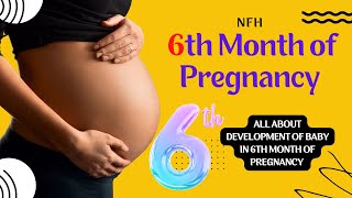 Sixth Month of Pregnancy  Baby Development  Baby development in 6th month of pregnancy [upl. by Goldarina678]