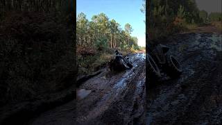 The hole 🕳😨 polaris sportsman sportsman500ho atv quad 4x4 offroad offroad4x4 mud [upl. by Whiffen]