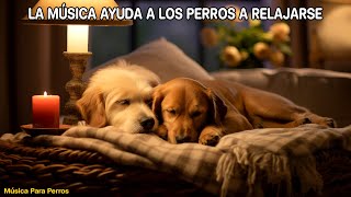 🐶Música Relajante Para Calmar Mascotas 💛 MUSICOTERAPIA Para Gatos Y Perros Inquietos O Nerviosos [upl. by Akinehs153]