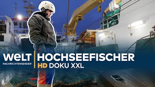 Deutsche Hochseefischer  Harte Arbeit auf rauer See  WELT HD Doku XXL [upl. by Alek]