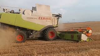 Žatva 2024PD Krupá 2x Claas LexionNew Holland2x Case Claas Arion [upl. by Ellerud233]