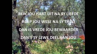 Danie Botha  Hier is liefde   LYRICS [upl. by Xavier]