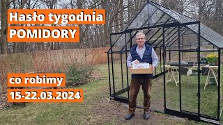 Co robię w ogrodzie 1522 marca 2024 Hasło tygodnia to pomidory i ich siew [upl. by Kcirtapnaes]