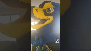 Happy National Mascot Day to the best bird on campus Stay tuned for more adventures with Freddie [upl. by Nathan666]