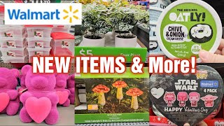 WALMART  NEW ITEMS amp MORE for JANUARY 2024 🛒 [upl. by Nylloc]