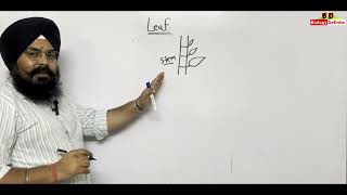 Morphology of Flowering Plants Lecture 03 [upl. by Nemra118]