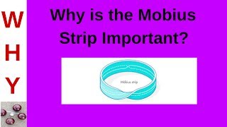 Relevance of the Mobius Strip [upl. by Boy892]