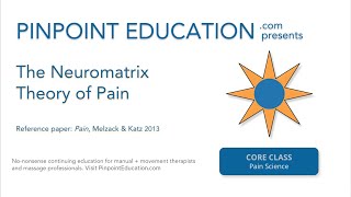 The Neuromatrix Theory of Pain and BPS References [upl. by Holbrooke]