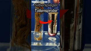 chemische Portale  Silberspiegel mit Tollens Reagenz chemie lehrer shorts [upl. by Vonni]