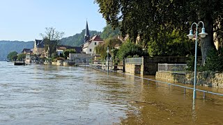 Hochwasser 2024 I Stadt Wehlen I Sächsische Schweiz I 18092024 [upl. by Haral]