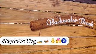 Backwater Brook Kumarakom  Staycation  Shikara ride  Kumarakom  Travel diaries 🧿🧿 [upl. by Stanleigh]