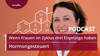 2 Wenn Frauen im Zyklus drei Eisprünge haben  Podcast Hormongesteuert  MDR [upl. by Ocihc]