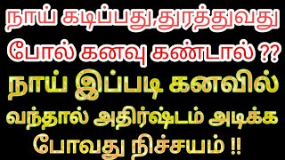 நாய் கனவில் இப்படி வந்தால் அதிர்ஷ்டம் அடிக்கும்  நாய் கடித்தல் துரத்தல் பலன்கள்  Divine route [upl. by Teuton549]