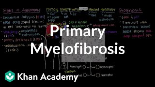 What is primary myelofibrosis  Hematologic System Diseases  NCLEXRN  Khan Academy [upl. by Ariahs]