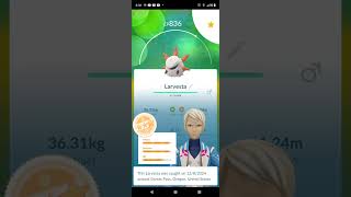 FINALLY GOT A LARVESTA pokemon pokemongo rarepokemons 420 [upl. by Adalia]