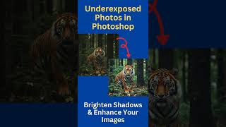 How to Fix Underexposed Photos in Photoshop Brighten Shadows amp Enhance with Curves PhotoEditing [upl. by Mcgrath]