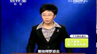 20131201 百家讲坛 唐玄宗与杨贵妃 05 温柔乡里酿危机 [upl. by Ahsikar]