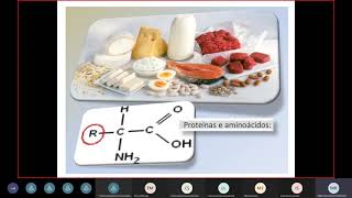 Biologia Celular  Aminoácidos Proteínas e Enzimas [upl. by Ecirtram]