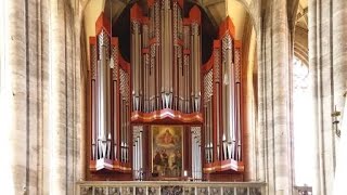 Großer Gott wir loben Dich RiegerOrgel Münster StGeorg Dinkelsbühl [upl. by Sherill963]