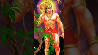 🚩Bam Bam Bajrangbali 🙏mahabali mahabali  hanuman status video bajrangbali bajrangdal hanuman [upl. by Burnie]