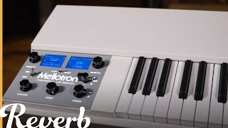 Mellotron M4000D Mini  Reverb Demo Video [upl. by Judsen]