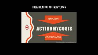 Treatment of actinomycosis actinomyces actinomycosis infection [upl. by Vitus]