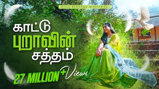 காட்டு புறாவின் சத்தம்  Kaatupuravin Saththam  4K  New Christian Song  Jesus Redeems [upl. by Zarah]