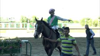 MONMOUTH PARK 060317 RACE 11  THE EATONTOWN STAKES [upl. by Mchugh]