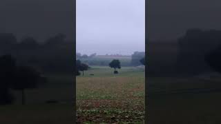 rolling through fertile farmland between Cities of Arnsberg and Soest in province of West Germany [upl. by Ela732]