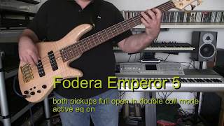 Bass Cover  Bandolero  Paris Latino  with Fodera Emperor Standard 5 bass [upl. by Ullman]