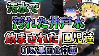 【1990年】幼稚園で謎の集団腹痛が発生 その原因は井戸水にしみ込んだ汚水『幼稚園集団O157食中毒』【ゆっくり解説】 [upl. by Soisinoid]