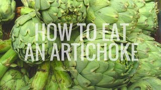 How to Eat an Artichoke [upl. by Atinrahs]