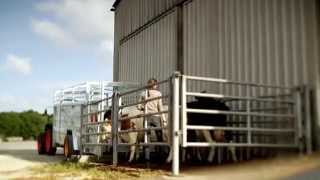 JOSKIN  Livestock trailers Betimax RDS [upl. by Eirek]