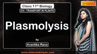 Red Onion Osmosis  Plasmolysis  Microscope [upl. by Assirol]