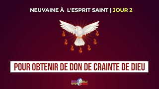 Neuvaine à lEsprit Saint  JOUR 2 [upl. by Ynaffad]