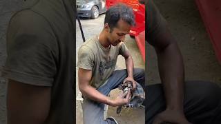 Speedy wheel bearing replacement skodarapid wheelbearing mechanic [upl. by Mel552]