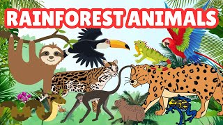 Rainforest Animals  Names and Fun Facts for Toddler Learning [upl. by Swain]