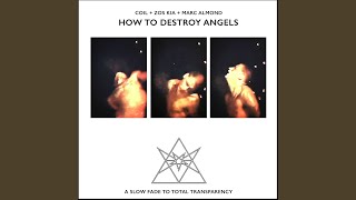 How to Destroy Angels a Slow Fade to Total Transparency [upl. by Kenny535]