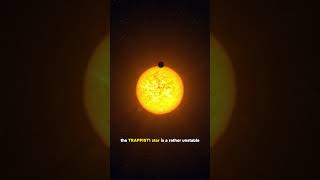 The Trappist 1 System [upl. by Neva]