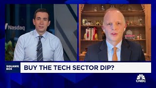 Neuberger Bermans Dan Flax on buying the tech sector dip [upl. by Thilde]