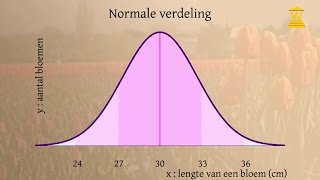 De normale verdeling deel 3 Gemiddelde standaardafwijking en grenzen uitrekenen  Wiskunde [upl. by Clymer172]