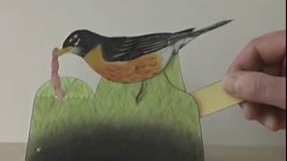 Moving Paper Robin [upl. by Ashia]