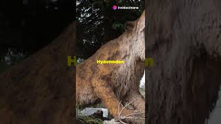 Hyaenodon The Mighty Prehistoric Predator facts wildlife animals [upl. by Florina]