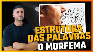 Estrutura das palavras os morfemas do português português morfema estruturadepalavras [upl. by Andrew]