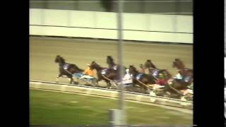 1987 Queensland Derby harness race [upl. by Maryjo]