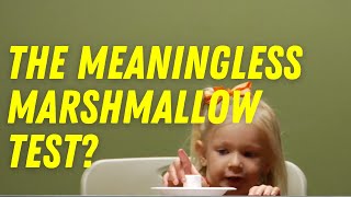 Why the Mighty Marshmallow Test CANT Predict Your Future [upl. by Neb]