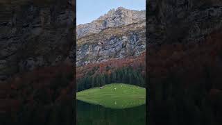 SwitzerlandSeealpseeEbenalpAppenzellerlandSwissLakeWandernHikingNaturemountains swissalps [upl. by Ayanet755]