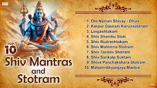 Top 10 Shiv Mantras amp Stotras  Shiv Mantra  Nonstop Shiv Bhajan  Shiv Bhakti Song  Shiv Song [upl. by Oalsinatse687]