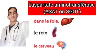 Laspartate aminotransférase ASAT ou SGOT [upl. by Hoxsie]