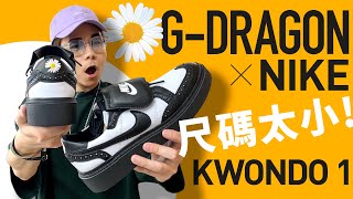 【買原碼找死】GDragon x Nike Kwondo 1 Panda 黑白 Peaceminusone！質素如何？尺碼太小注意！自拍豪講鞋 GDragon Kwondo1 中文字幕 [upl. by Siol]